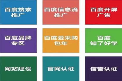 百度竞价广告的成功之路：企业运营案例集